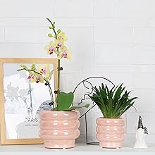 PINK PLANT POTS
