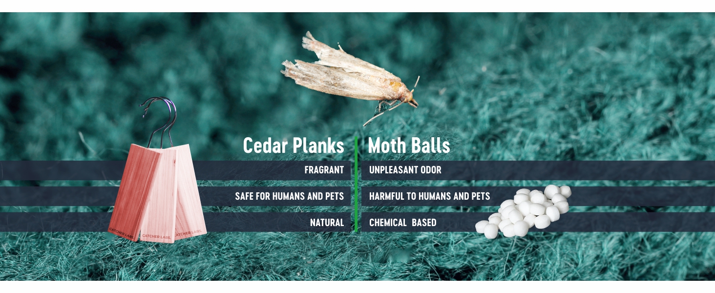 Catcher Labs Cedar Planks for Moth Repellent Cedar