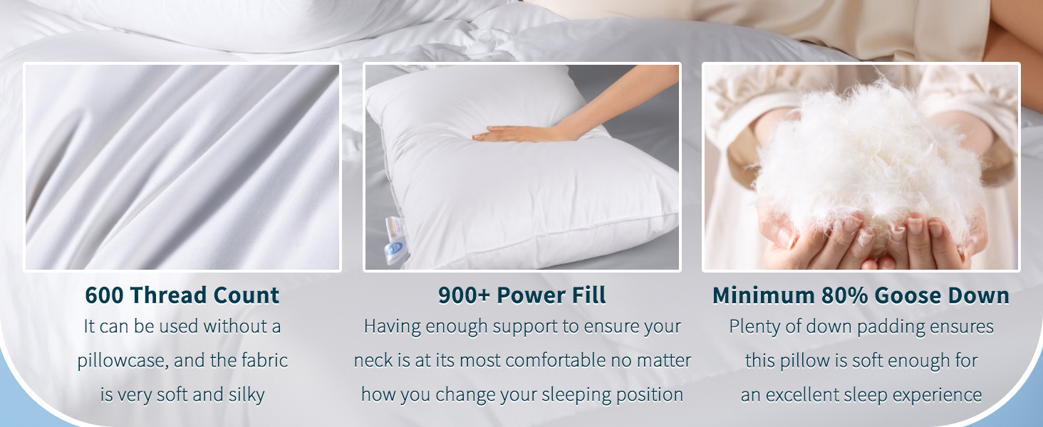 Canadian White Goose Down Pillows Queen Size Set of 2,900