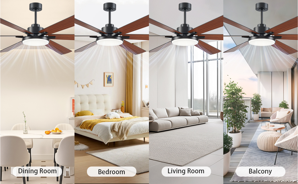 Ceiling Fans with Lights