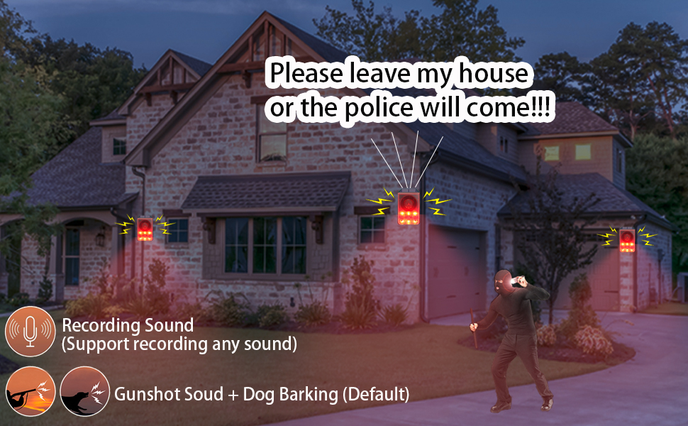 motion detector alarm