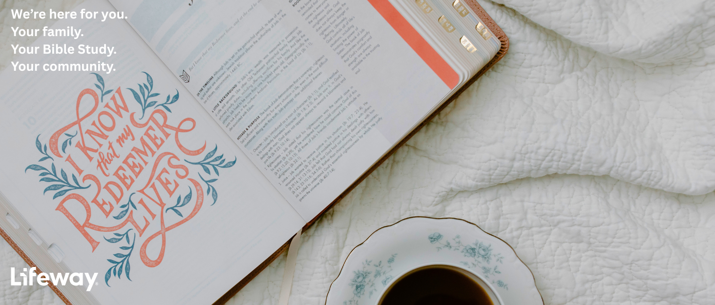 Lifeway brand carousel background