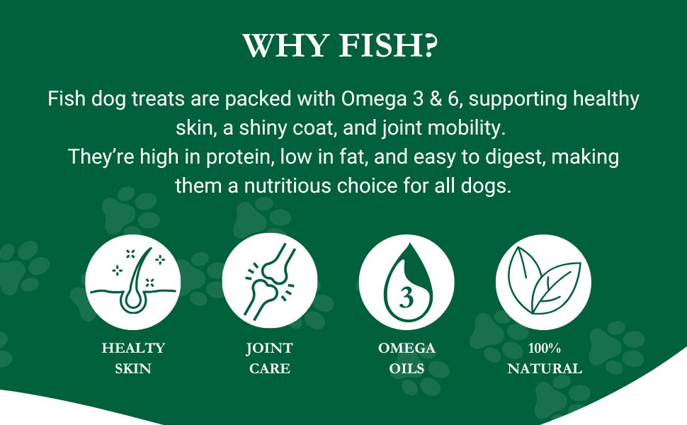 Walter Products DRIED Sprats Dog Treats 1kg – 100% Natural, Dried Fish Treats – High in Omega 3 – Grain-Free and Hypoallergenic BARF diet 14 Walters-training-dog-fish-treats-sprats-benefits