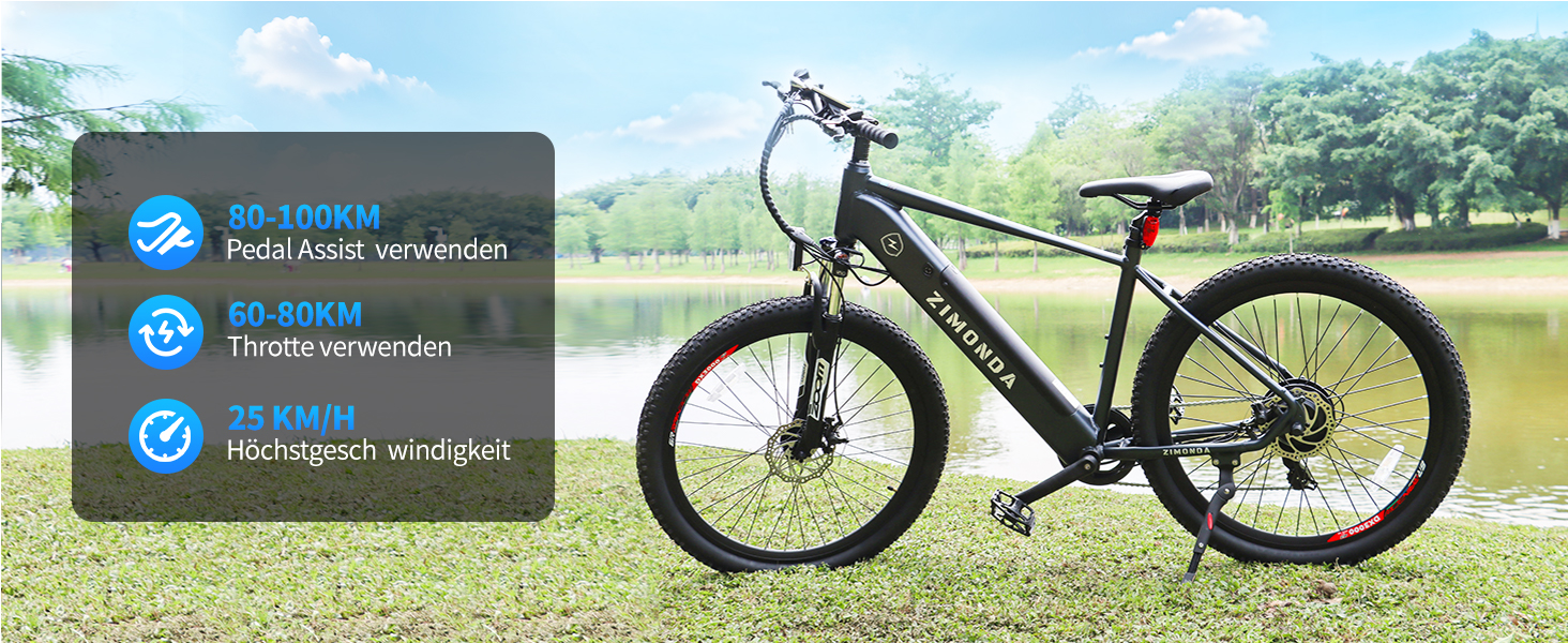 ebike herren