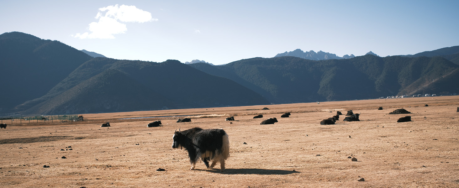 VILTROX 25mm f/1.7 Z-Mount APS-C Lens 