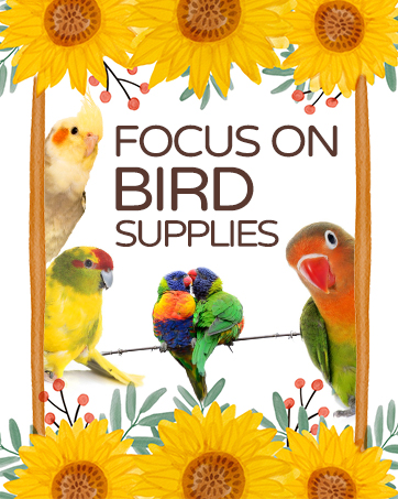 WALKING WITH YOU AND YOUR BELOVED PET