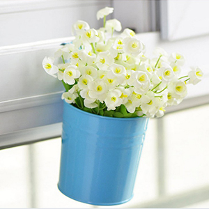 Lot De 10 Pots De Fleurs à Suspendre En Métal Avec Trou De Drainage Crochet Amovible Assortiment De Couleurs,Dolaso 12 10 different colours flower pots