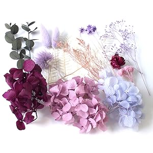 Amazon | プリザーブドフラワー 花材 セット プリザードフラワー 赤 白