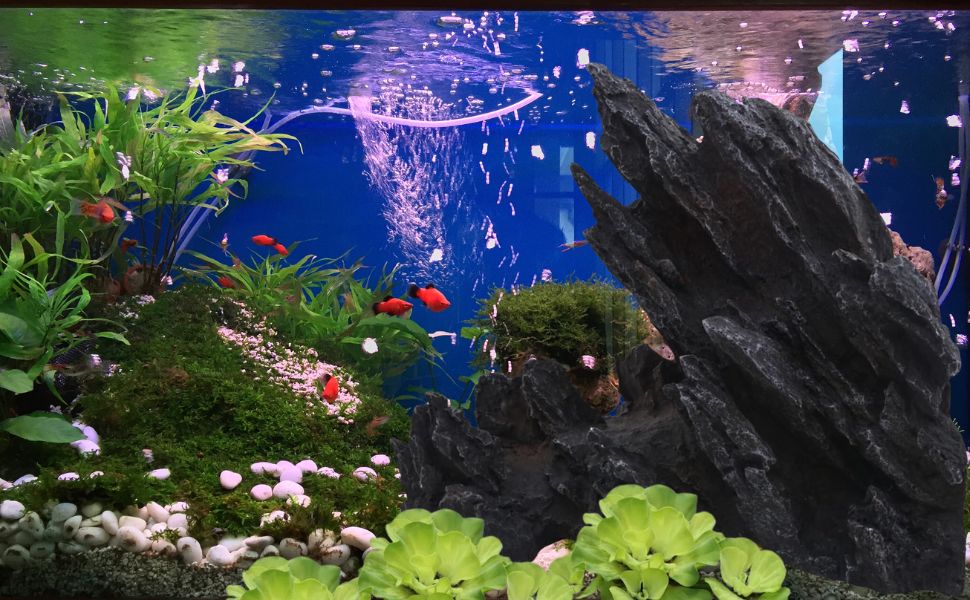 Aquarium Decorations Mountain View Stone