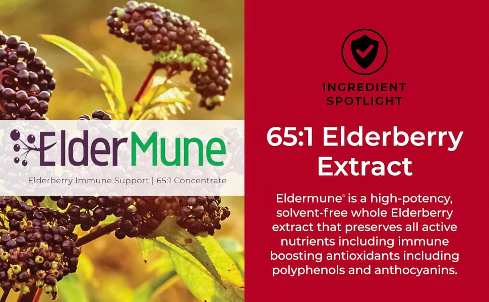 CogniTea Immunity Tea