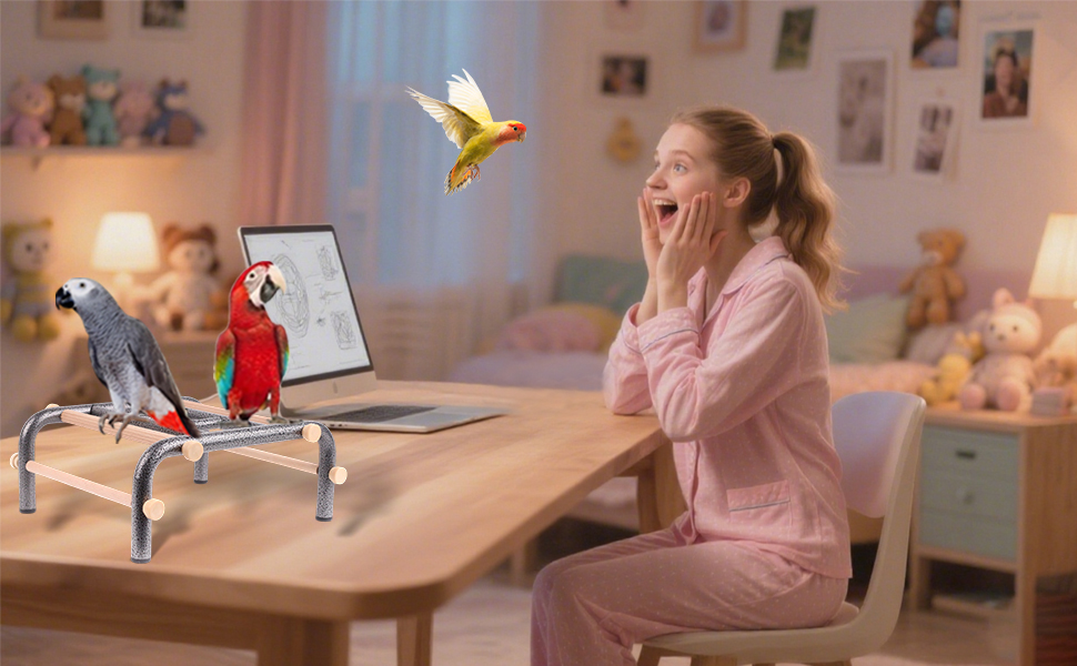 bird training perch large