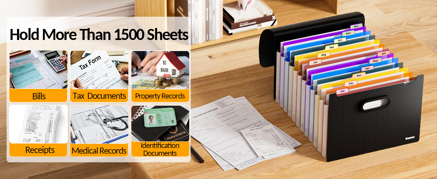 large capacity filing organizer