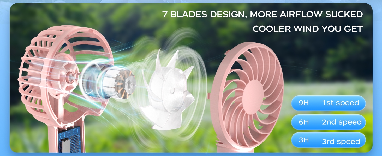 fan