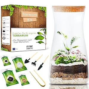 Das Terrarienset für Zimmerpflanzen