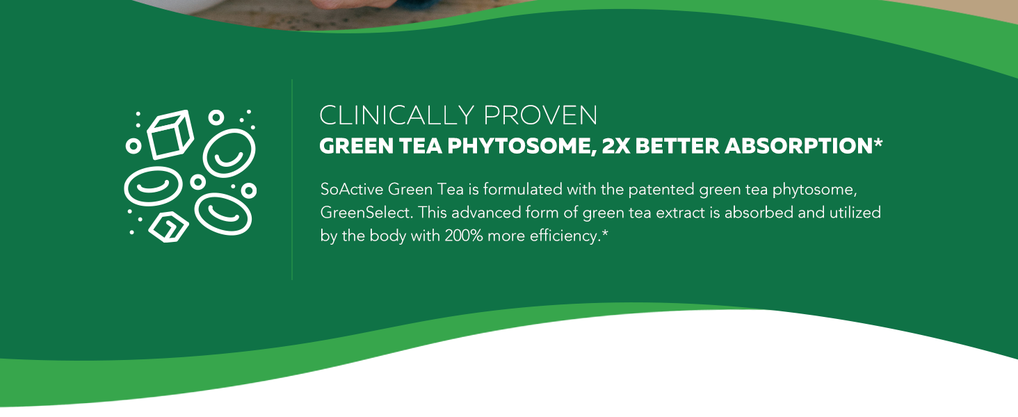 green tea extract