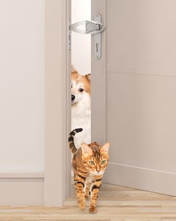 Cat Door Holder Latch