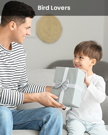 camera bird feeders for outside