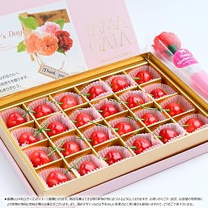 ２４日の２箱セット　　佐藤錦　山形県産　さくらんぼ　１ｋｇ 佐藤錦 秀撰」24粒化粧箱入｜山形のさくらんぼ通販なら「佐藤錦