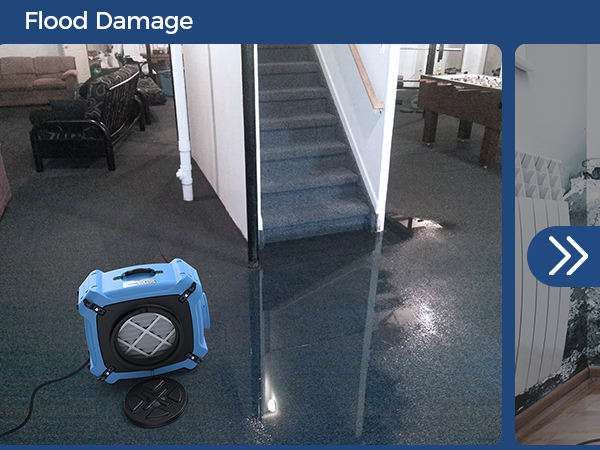 ALORAIR Air Scrubber