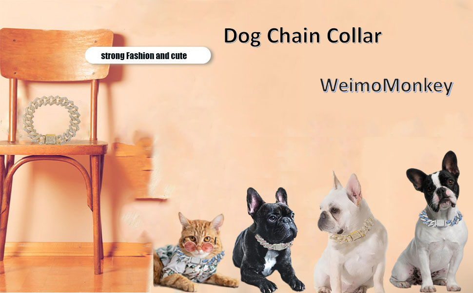 Dog Chain Collar
