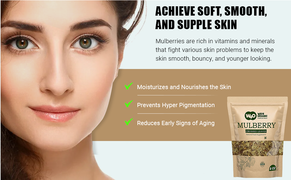 Mulberry Leaf Tea 8 Oz, Dried Crushed Leaves, Best