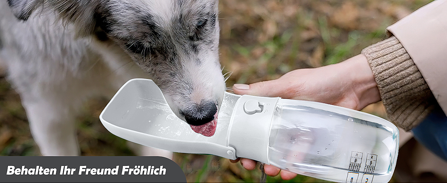 wasserflasche