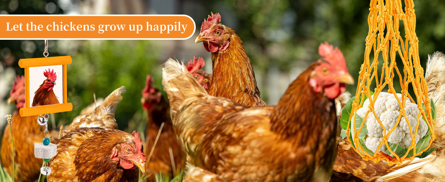 chicken toys for coop