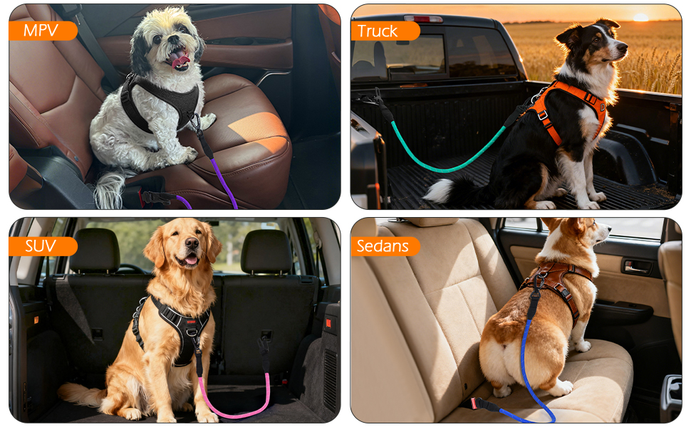 car harness for dogs safety seat belt