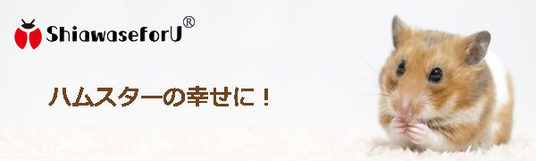 中型ケージセット（回し車・砂・） Amazon | サイレントホイール デグー ハリネズミ ケージ 回し車