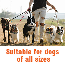 Dog shock collar
