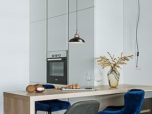 black swag loft hanging light