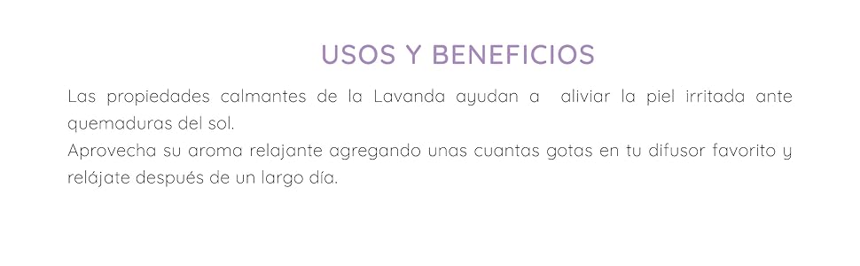 Usos y beneficios lavanda