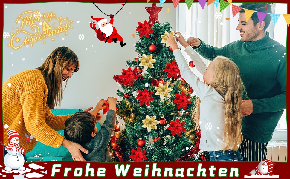 Christmas Poinsettia Flowers