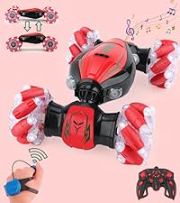 Remote Control Stunt Car