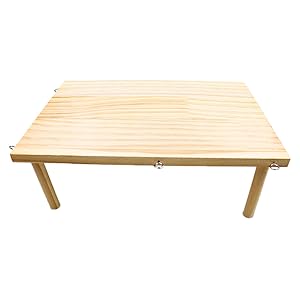 Bearded Dragon Basking Platform