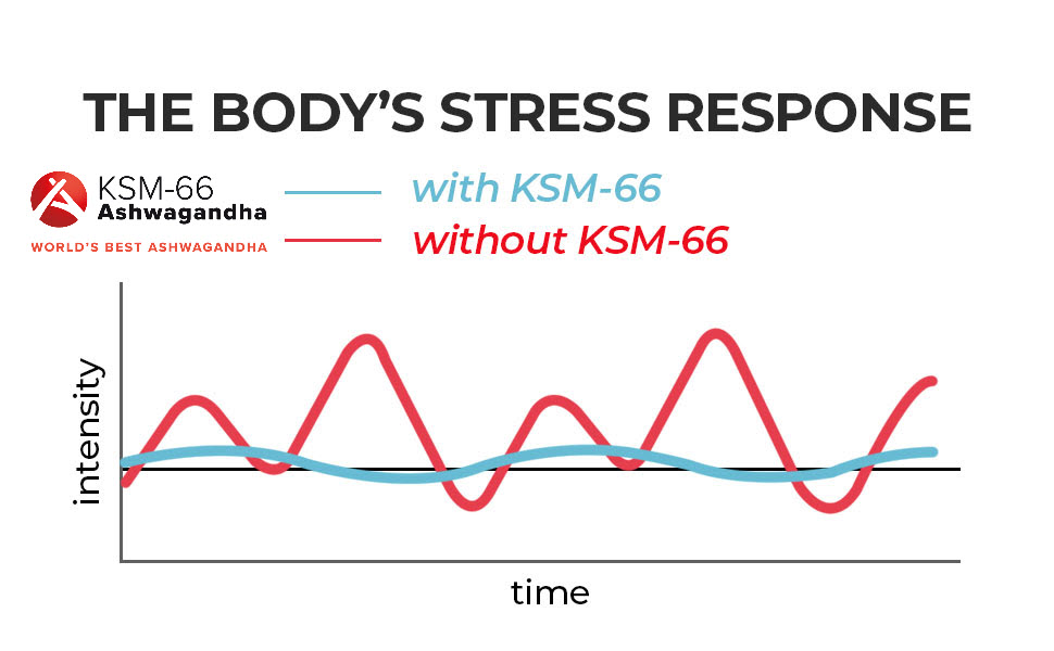 ASHWAGANDHA KSM-66 180 capsules | 5% de Withanolidos | 100% végétalien naturel | Withania Somnifera 