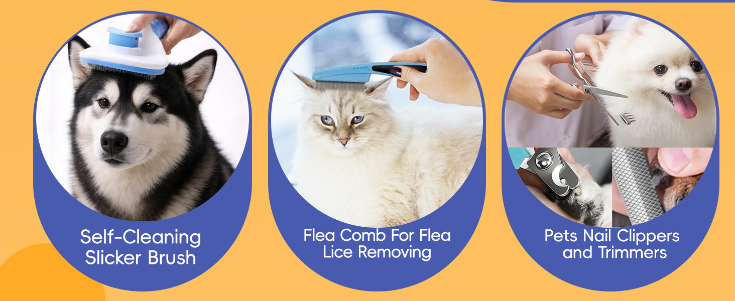 dog shampoo brush