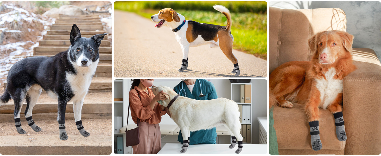 SCENEREAL Dog Socks to Prevent Licking Paws for Hardwood