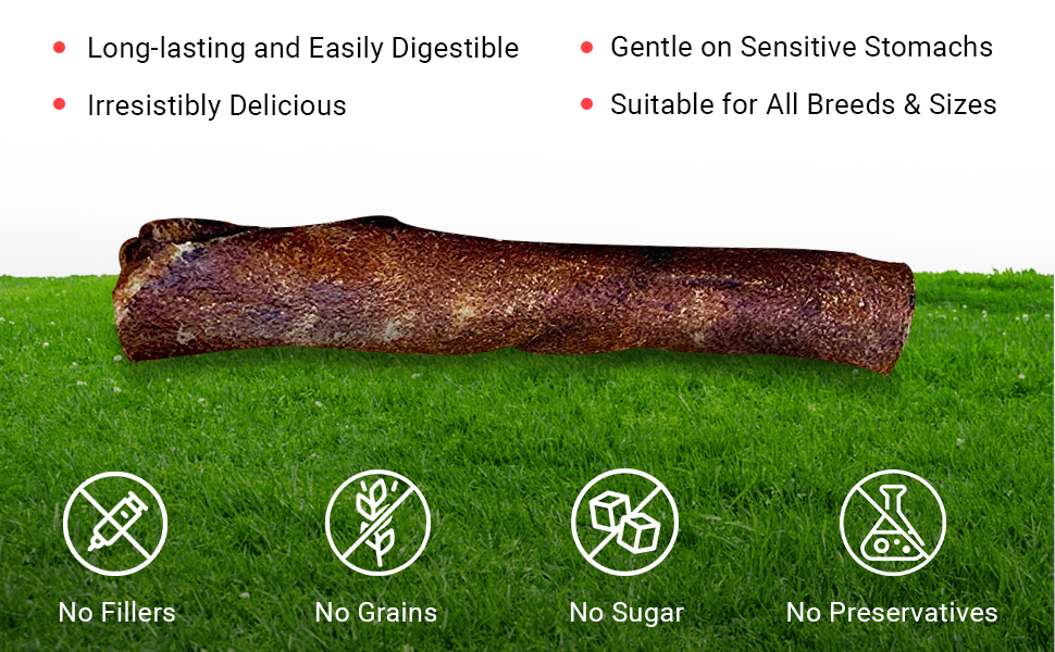 American Made Treat Company 0513 U.S.A. Beefhide Retriever