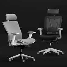 ergochair-pro-8