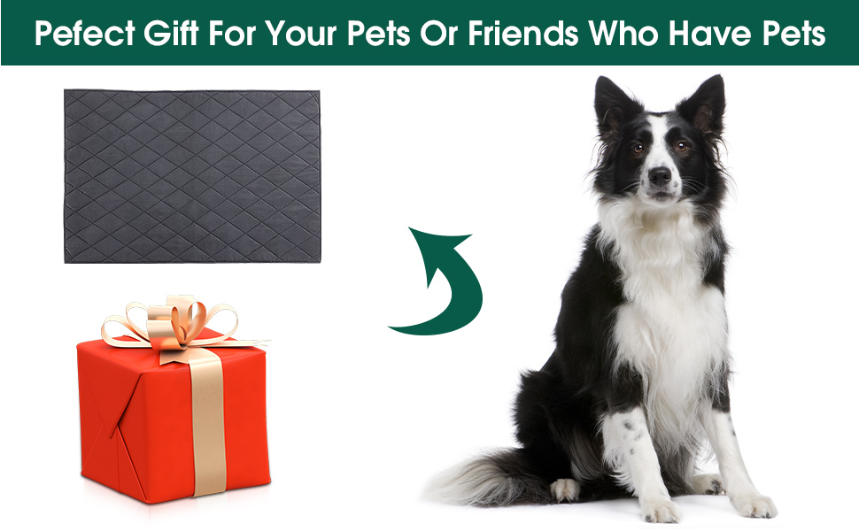 HOMBYS Durable Indestructible Pet Bed Mat for Aggressive Chewers, Quick Dry, Machine Washable
| HOMBYS Durable Indes 4da1cae1 2e91 4328 9a3b 689a4383897f. CR0,0,970,600 PT0 SX970 V1
