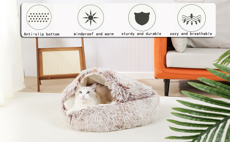 Nemis ayolining mushukining surati ViChatter videoda jinsiy aloqa