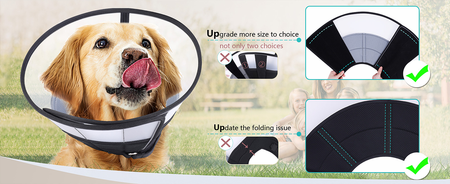 recovery collars for dogs