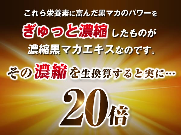 Amazon.co.jp: プロキオン エールマカ 黒マカ ウコン シトルリン
