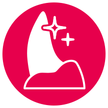 Plaque & Tartar Control