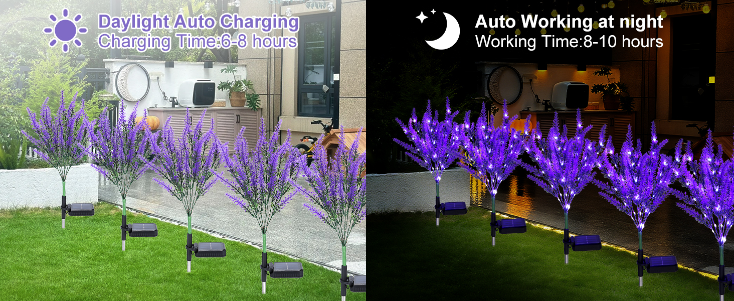 solar garden lights