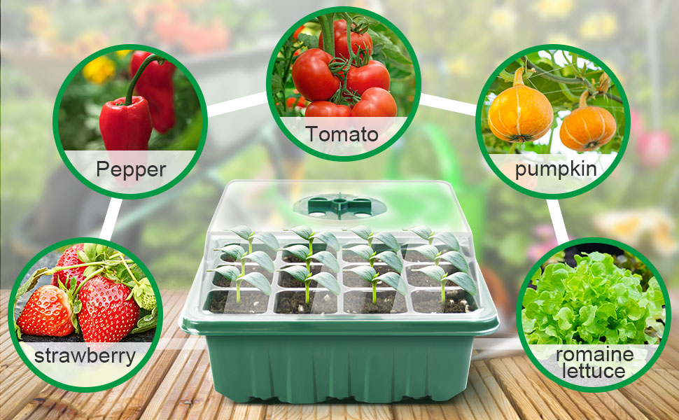 seedling starter trays