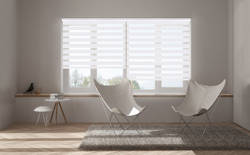 SEEYE Cordless Zebra Blinds Roller Shades for Window Day