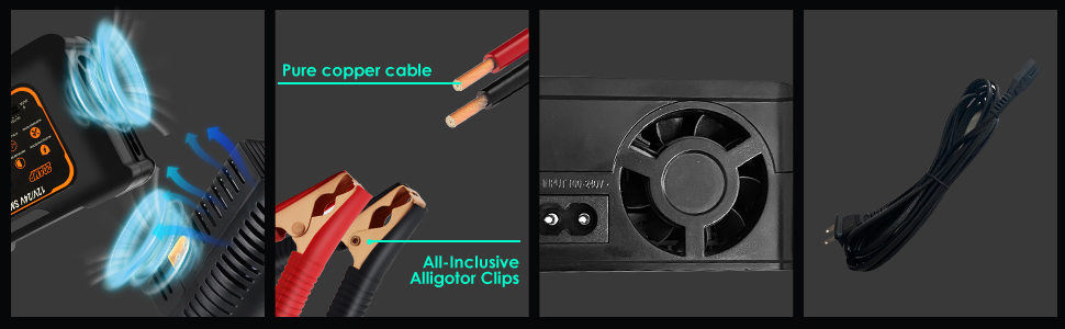 lifepo4 charger