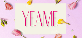 long_ponytail_extension